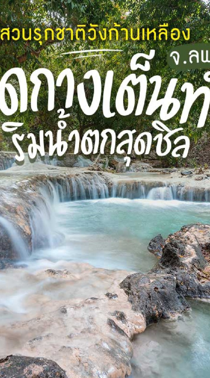 หลงเต้นท์