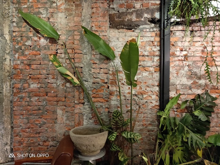 OPPO R17 開箱動手玩，跑分、拍照、續航力表現全都測