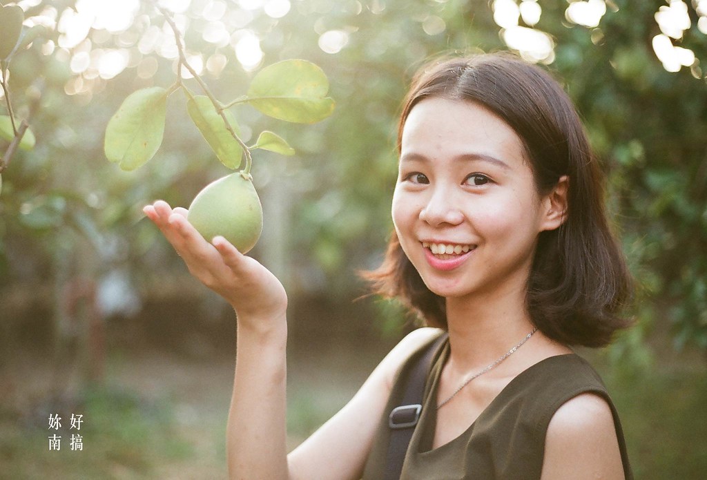 台南麻豆一日遊