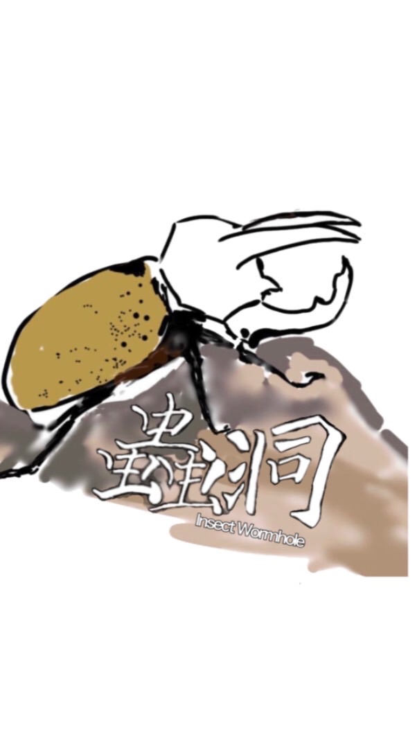蟲洞Insect wormhole
