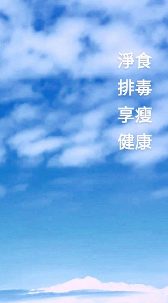 文子-淨食排毒享瘦健康