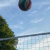 小学生でバレーやってる人集まれ～！！！！🏐