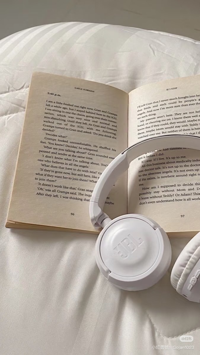 𓂃𓈒𓏸 熙 月 微 光