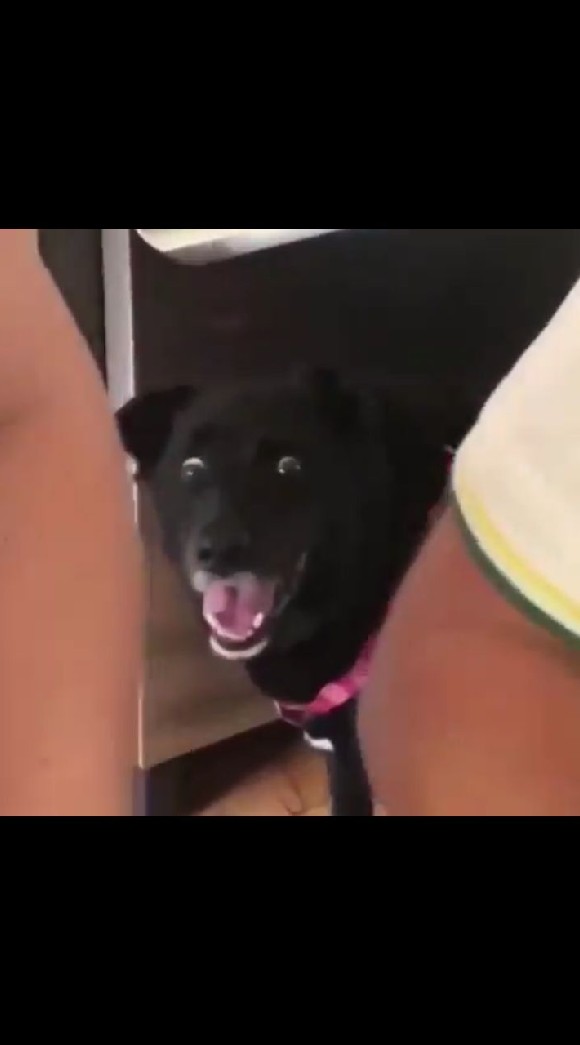 モンストのオープンチャット