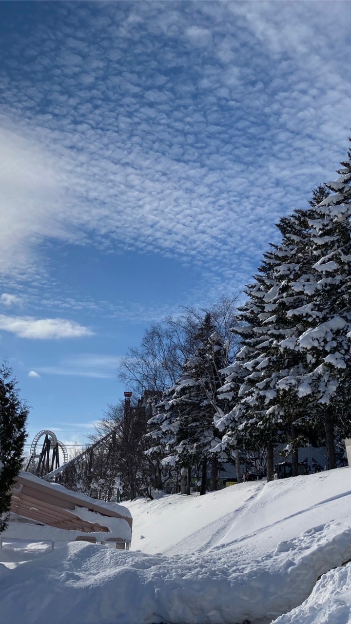 スキー同好会⛷