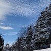 スキー同好会⛷