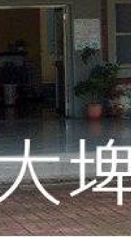 我是大埤人