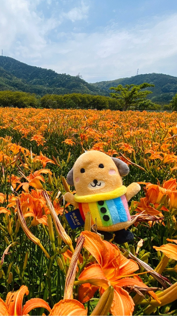 萌萌園長｜七彩療癒與旅行美食陪伴小宇宙