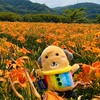 萌萌園長｜七彩療癒與旅行美食陪伴小宇宙