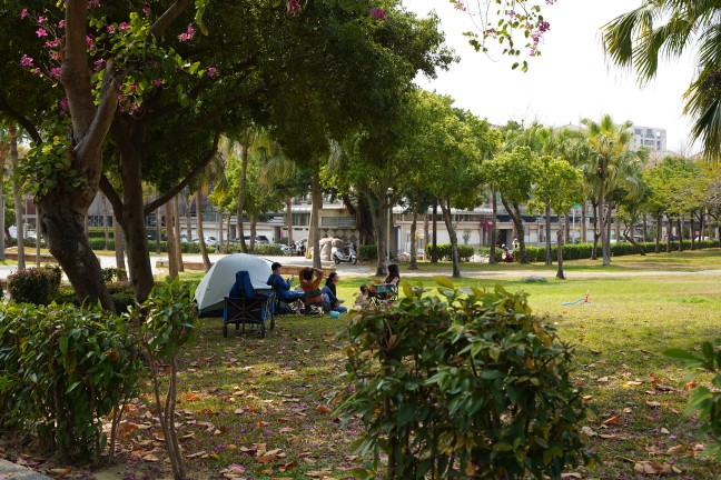 台中公園,台中東英公園,台中洋紅風鈴木,東英公園,東英公園網球場,松鼠公園,洋紅風鈴木,苦楝花,阿勃勒