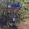 泰坦-血盟戰友