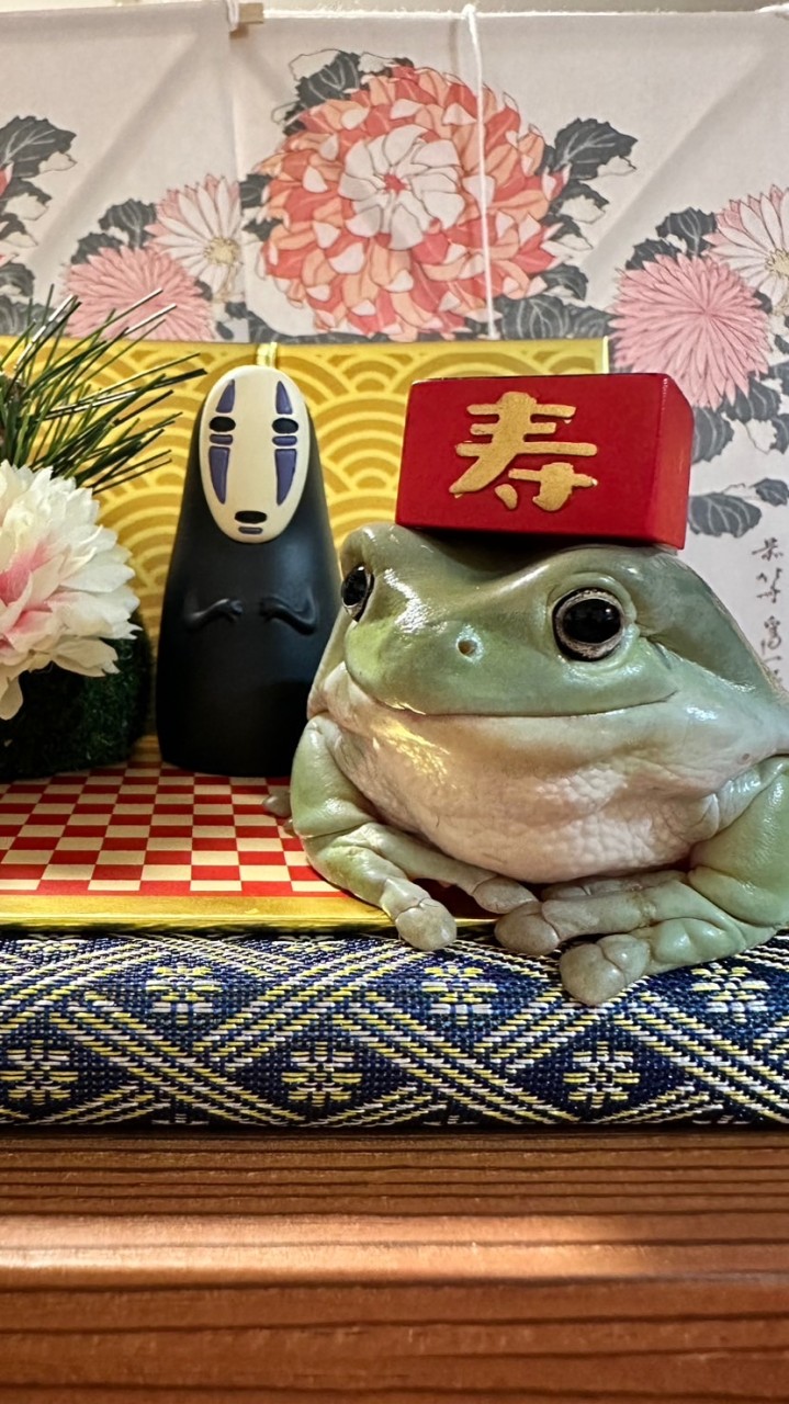 🐸どんの部屋🐸