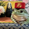 🐸どんの部屋🐸