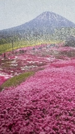 5/24-28日本北海道…五日旅遊