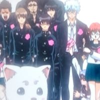 銀魂緩なりきり〜