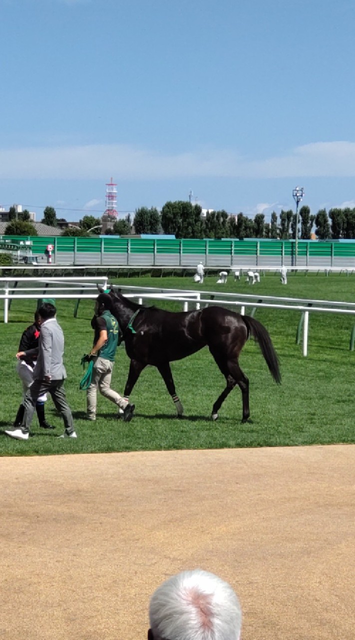 さどすての競馬部屋 OpenChat