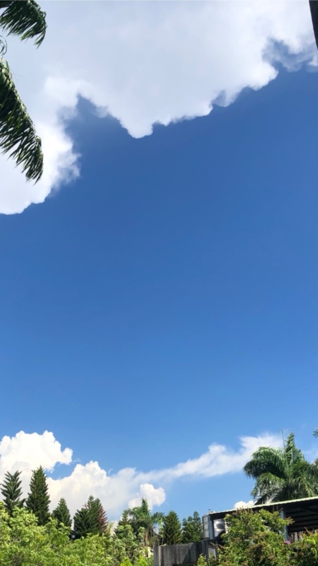 暑輔706班臨時群組