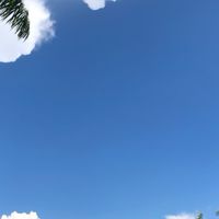 暑輔706班臨時群組