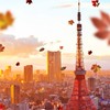 🍁新縁秋華:オータムフェスティバル🍁/イベ専OC