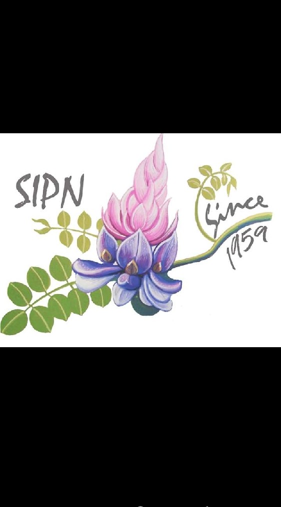 SiPN70