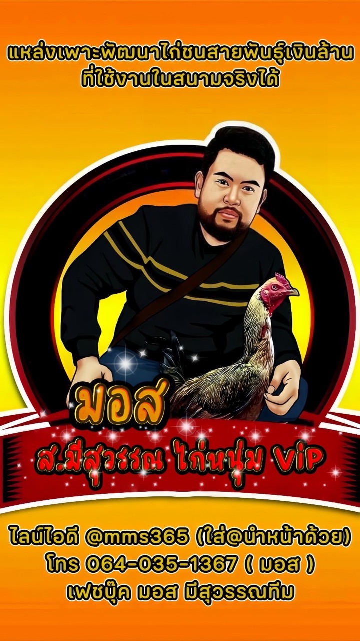 🏆กลุ่ม 8 คลิปไก่ ส.มีสุวรรณ (VIP ลูกแชมป์ตัวดัง)🏆