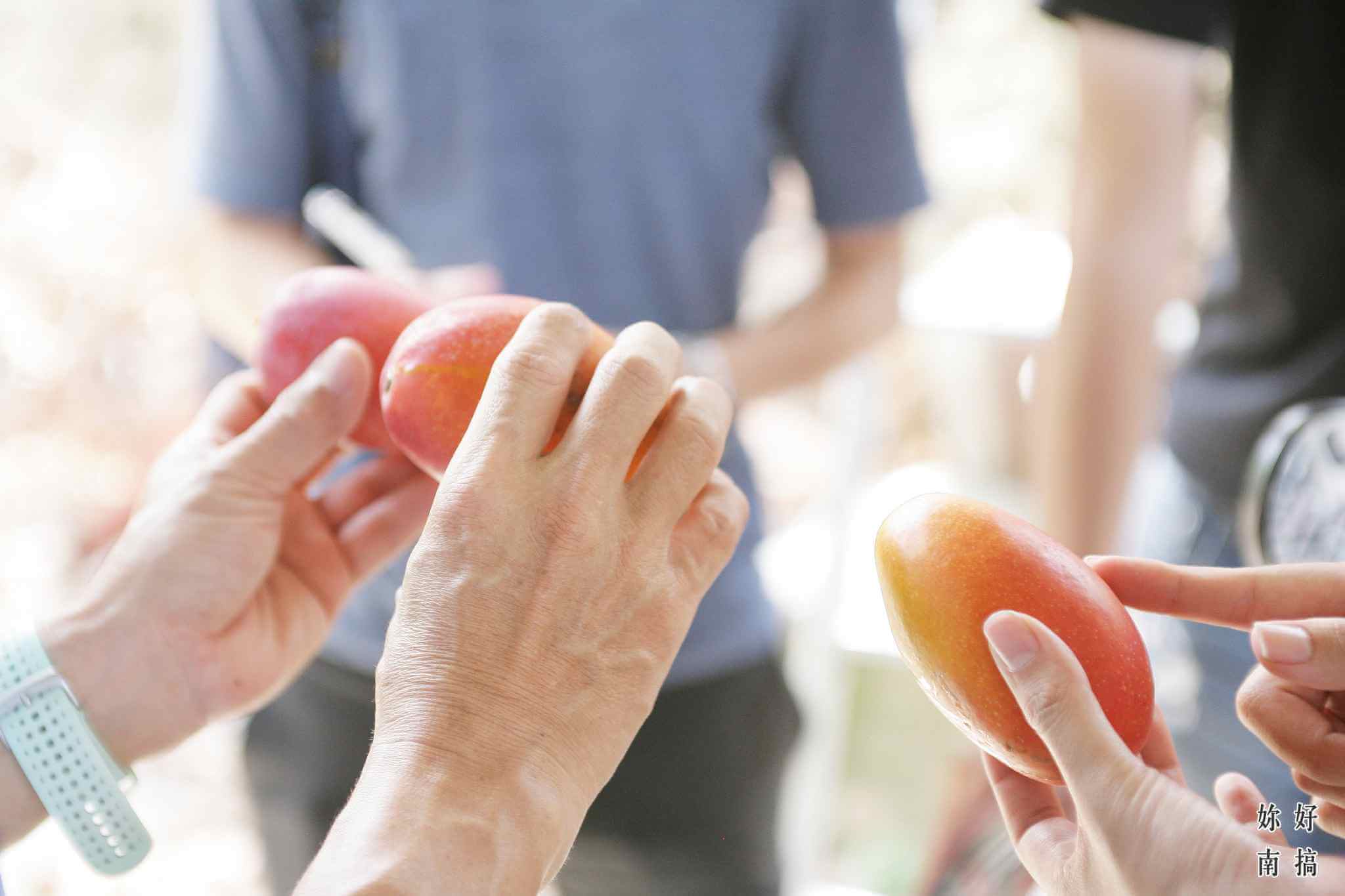 蜜旺果鋪 -07 - 妳好南搞