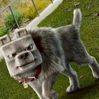 Minecraft Movie Thai Fan Screening