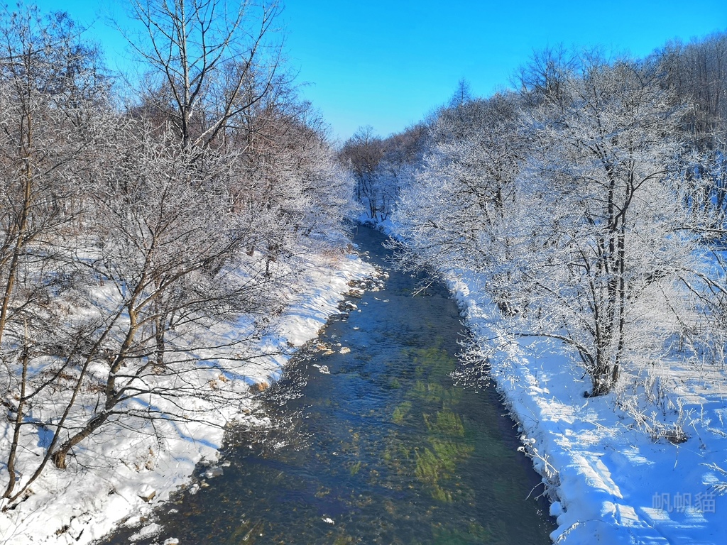 北海道 日勝半島更別村勢雄地區看霧冰大樹町晚成溫泉看海玩雪泡溫泉 Line旅遊