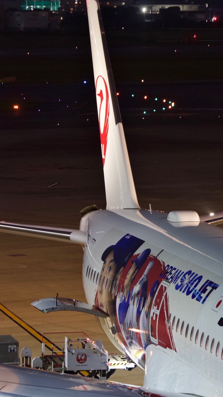 飛行機のゲームやっている人集まって〜