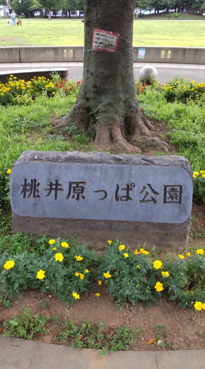 桃井原っぱ公園parkrunオープンチャット