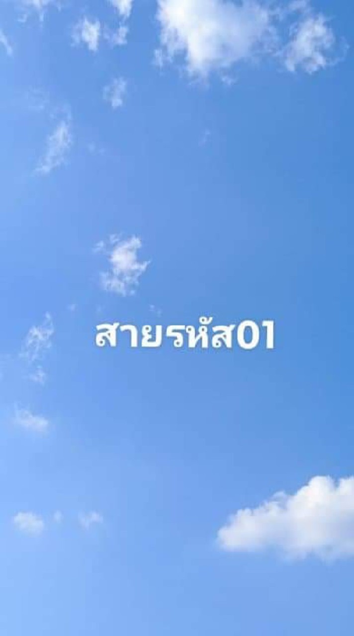 สายรหัส01