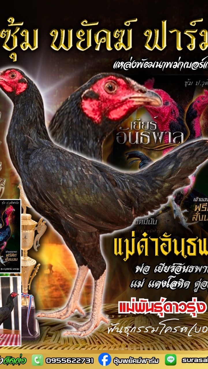 ซุ้ม “พยัคฟาร์ม