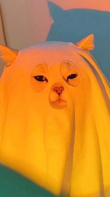 開開心心撩起來˘͈ᵕ˘͈