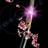 ❀  満開の桜を愛でて ❀             ～ 鬼滅の刃 也 ～