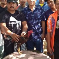 ชมรมอนุรักษ์ไก่ชนเทศบาลจอมทอง
