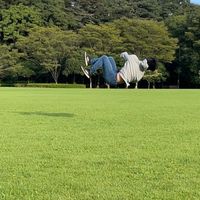 パルクールならなんでもよき
