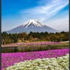 愛旅遊康妮Connie 來組團