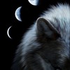 ☠️まーくんのカリスマroom🐺