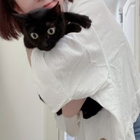 粉角後援會🐈‍⬛
