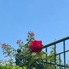女の子の友達欲しい人おいで