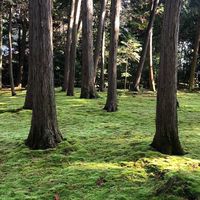 千家　茶室