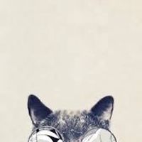 猫の会