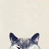 猫の会