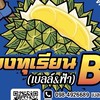 แผงเบลล์ฟ้าจันทบุรี-ชุมพร