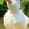 鬥陣來喇賽