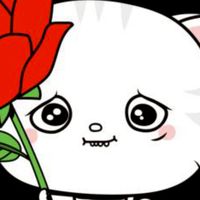 เล่นโรบอก