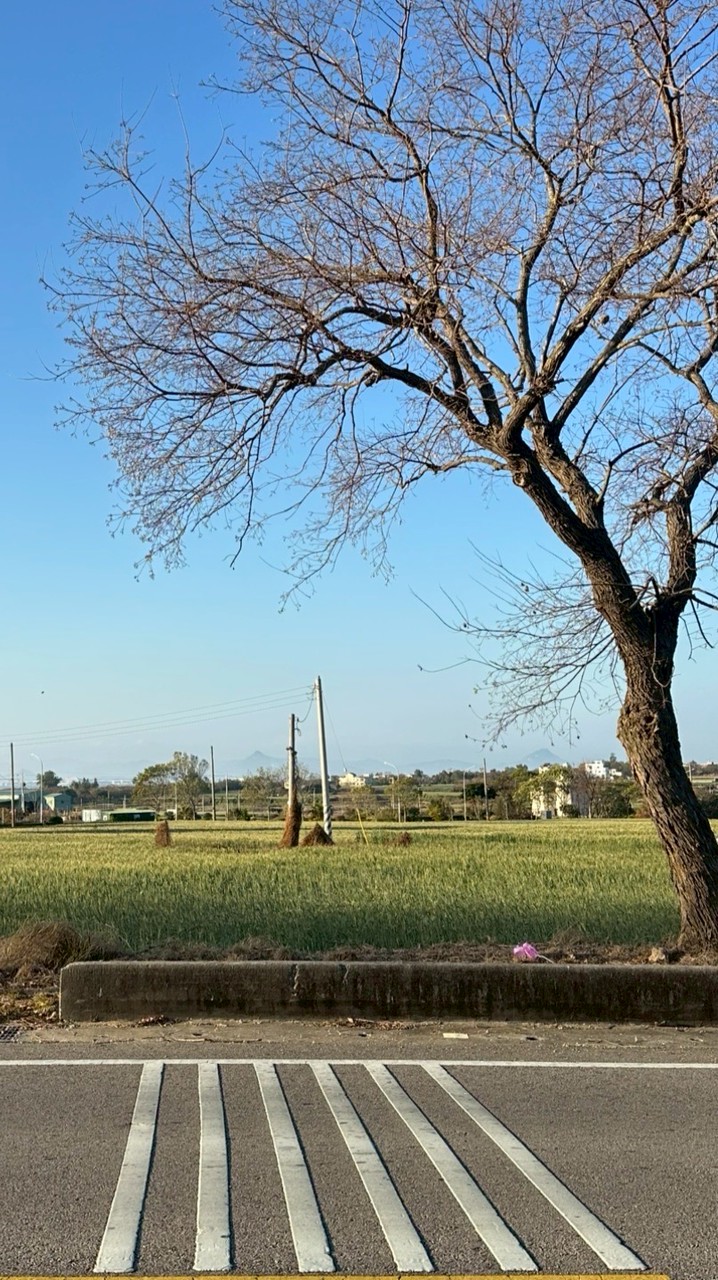 📌台灣各縣市》景點/美食/旅遊/資訊/好物分享站
