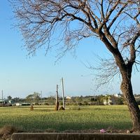📌台灣各縣市》景點/美食/旅遊/資訊/好物分享站