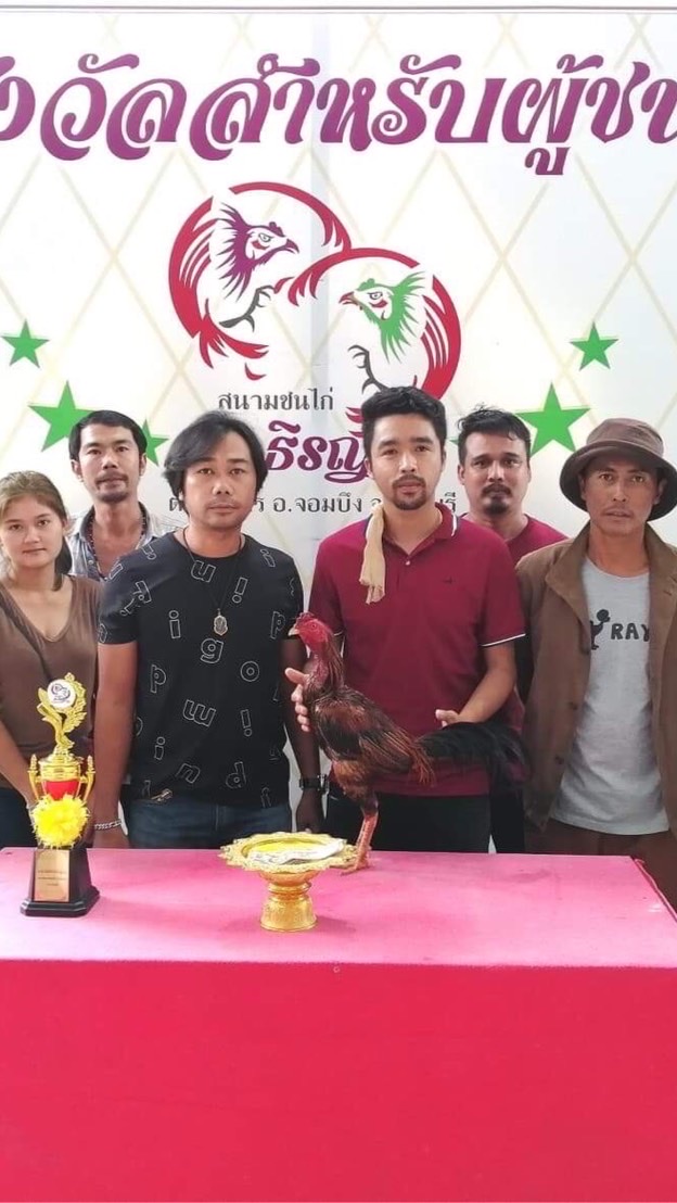 หนุ่มรถตู้ ฟาร์มไก่ชน