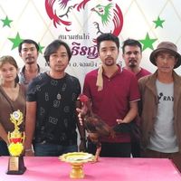 หนุ่มรถตู้ ฟาร์มไก่ชน